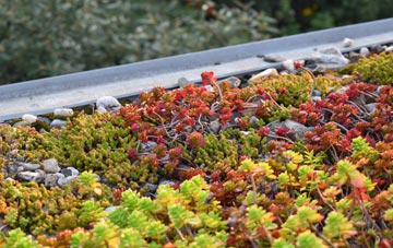 the cost of Londubh green roof installation