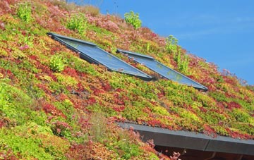 Londubh living roof systems